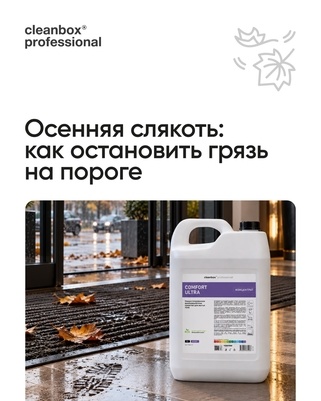 Профессиональные решения борьбы с грязью в осенний сезон